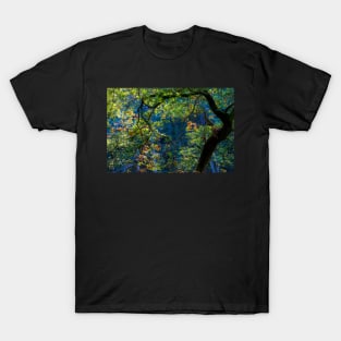 Silken woodland T-Shirt